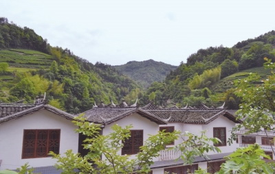 恩施硒茶是绿茶吗(恩施硒绿茶多少钱一斤)-硒宝网